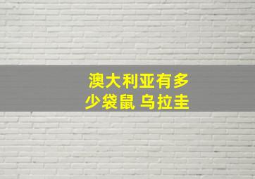 澳大利亚有多少袋鼠 乌拉圭